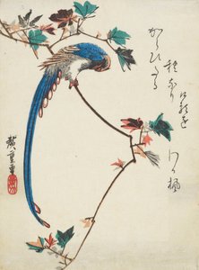 Blue Magpie on Maple Branch by Utagawa Hiroshige